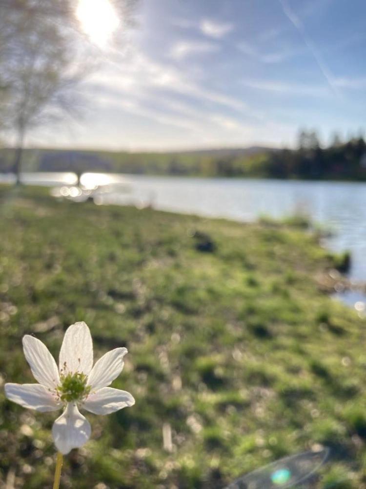 Valassky Hotel A Pivni Lazne Ogar Luhačovice Dış mekan fotoğraf